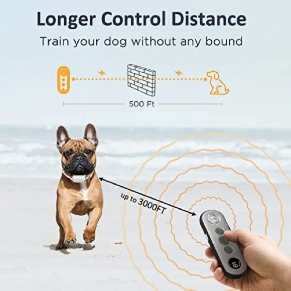 Shock collar for small dogs